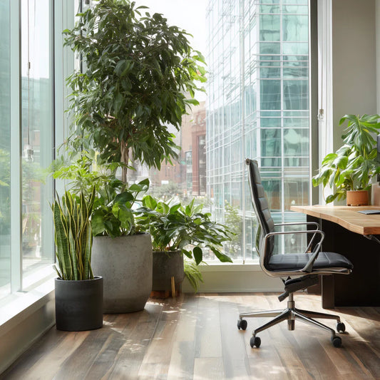 New Plant Parent? 6 Essential Steps to Take the First Week After Bringing a Plant Home