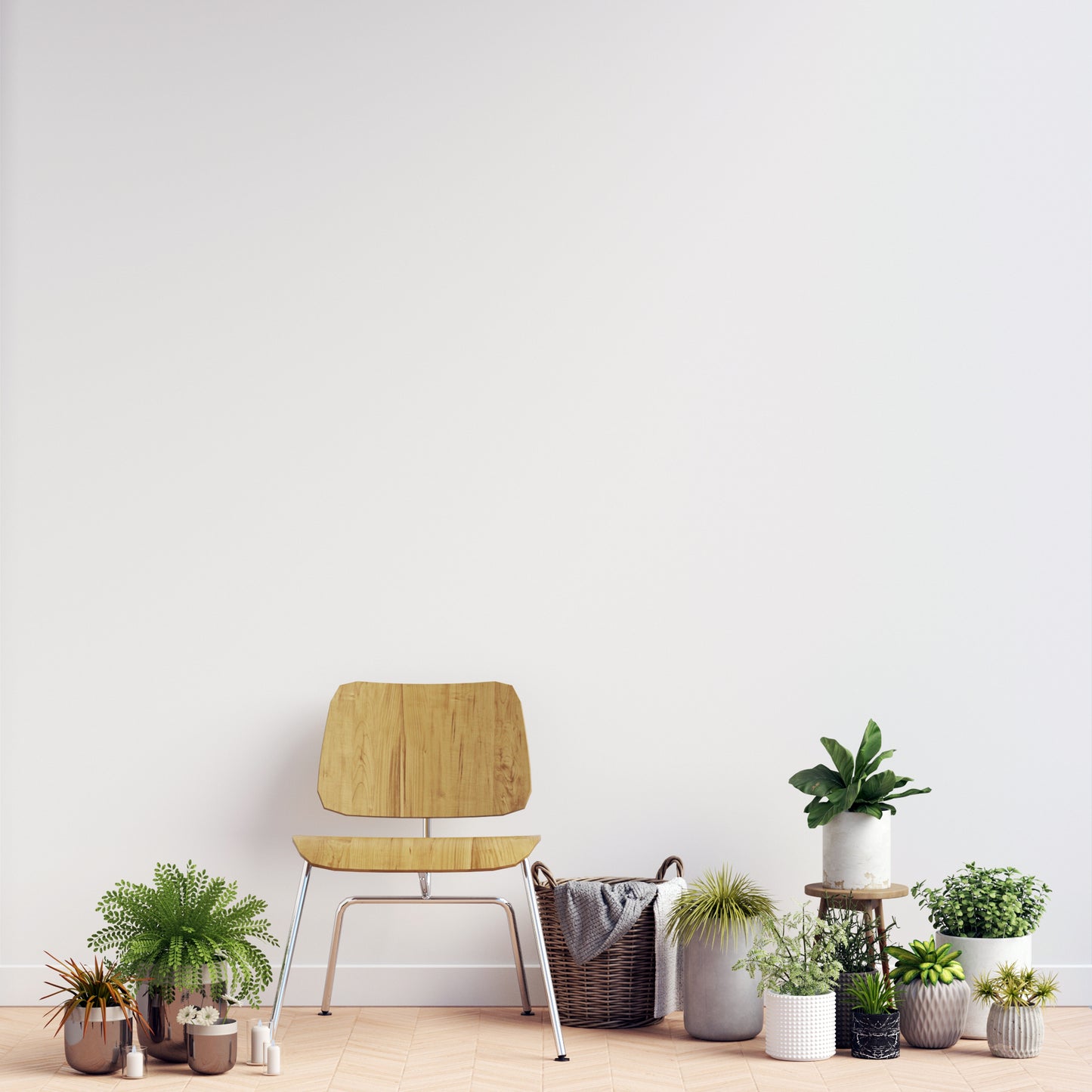 Exotic Plants Bundle