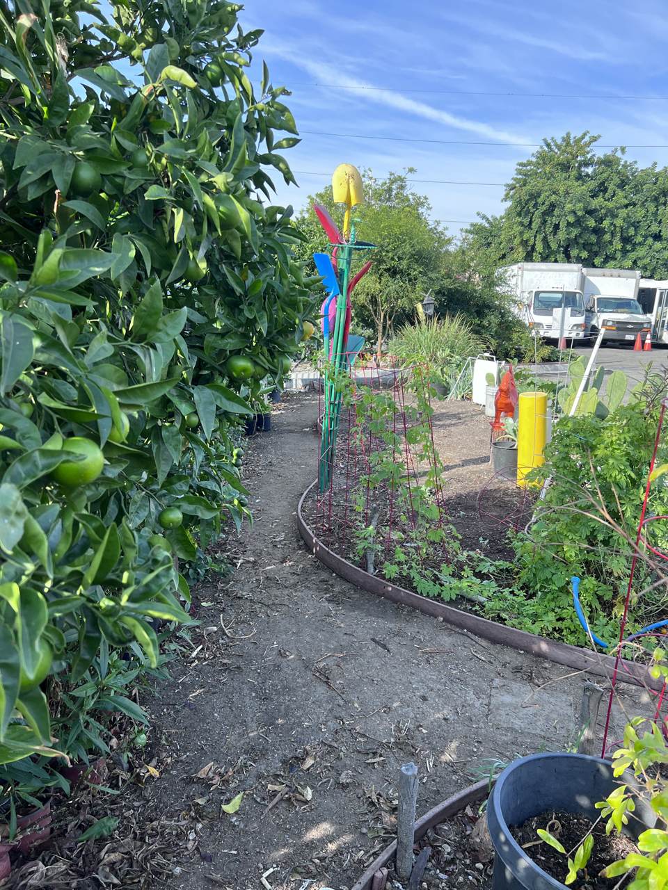 GArdenwrld design group Community Gardens