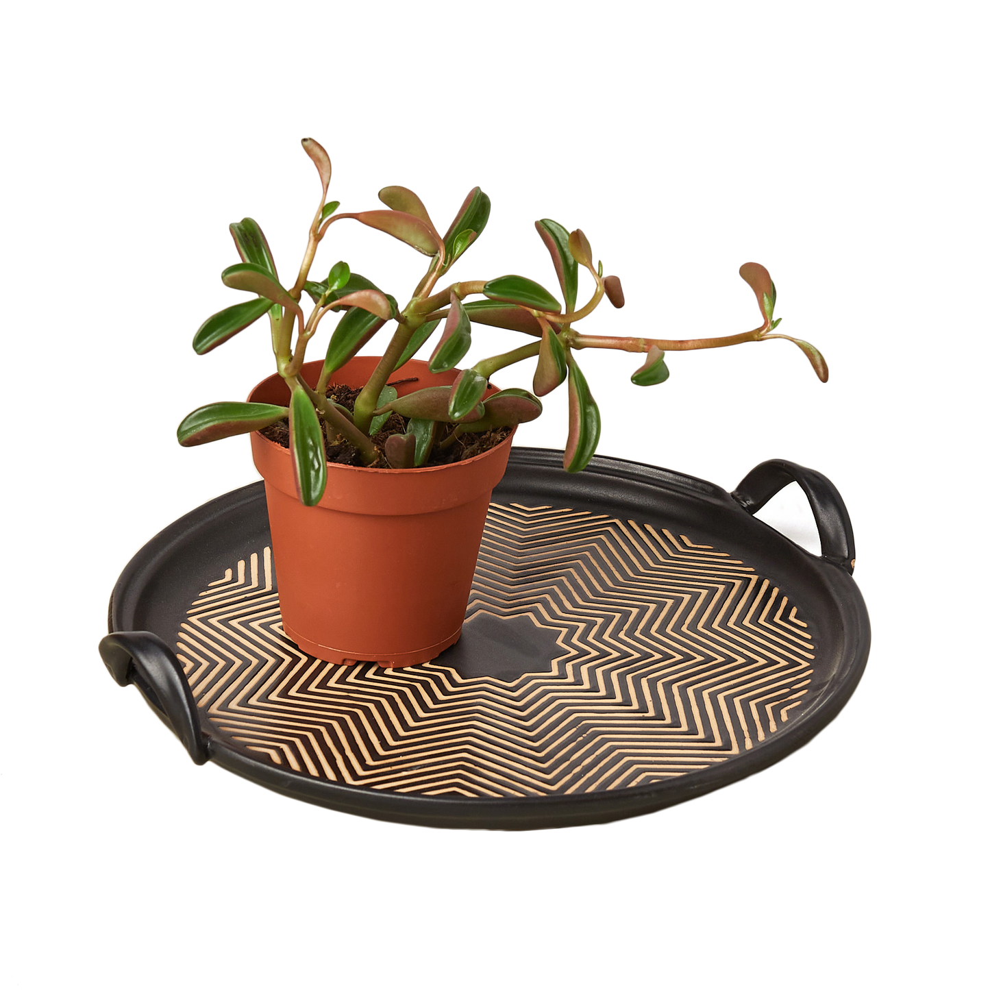 Bandeja Rahnza - 11 pulgadas