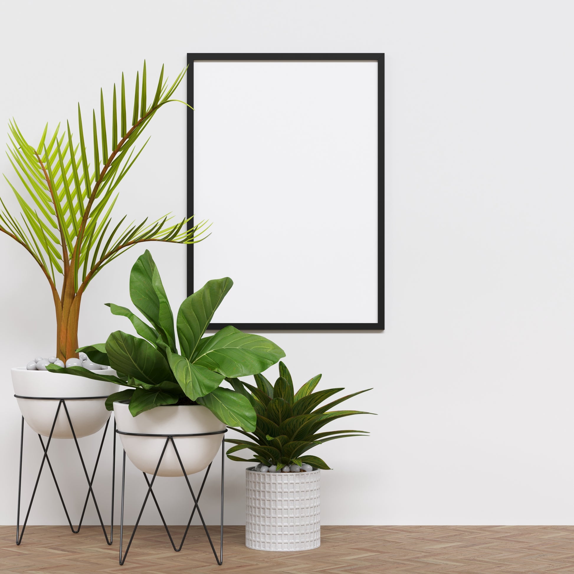 Easy Care Houseplants