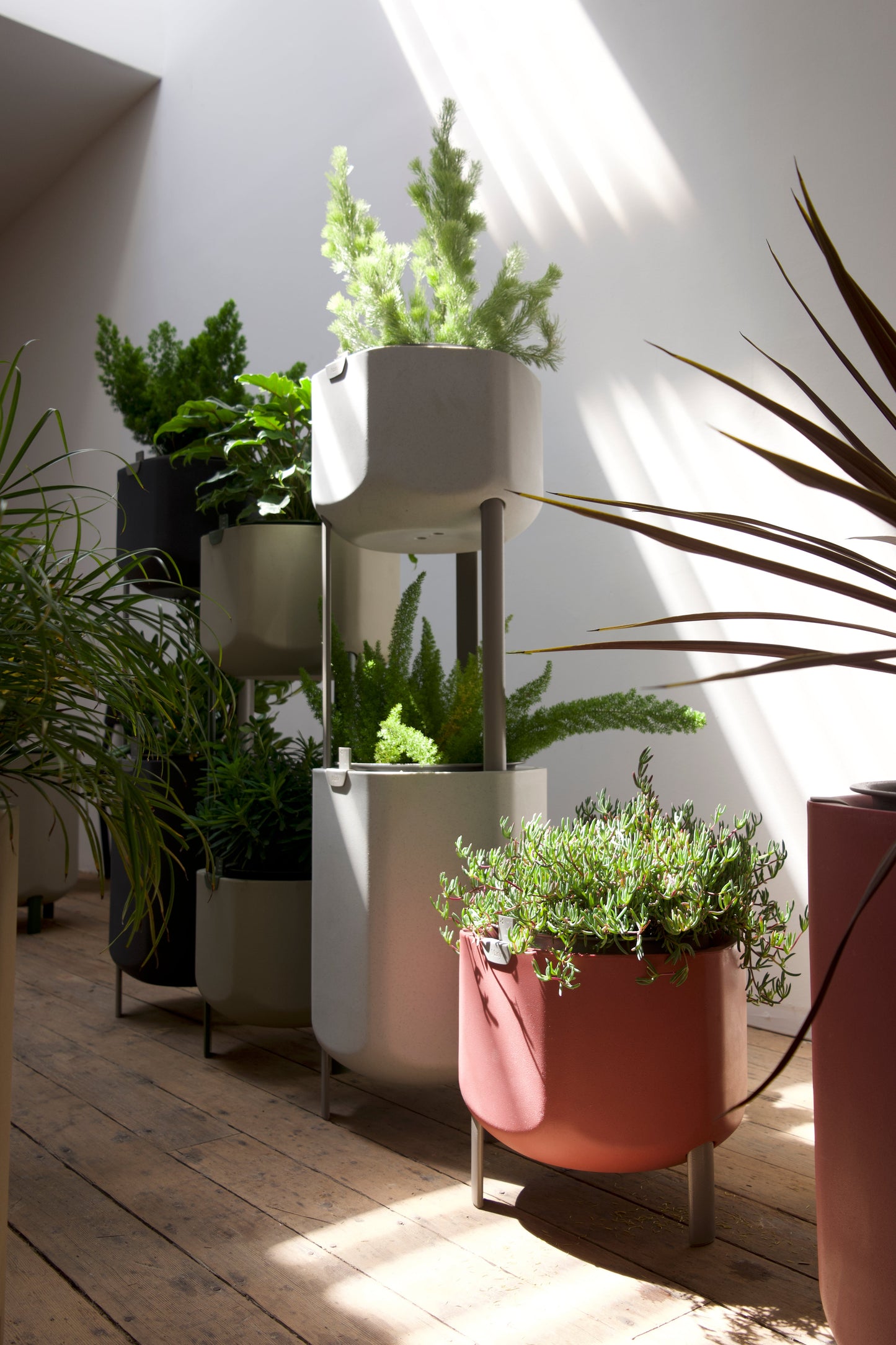 Plantfluencer Pack