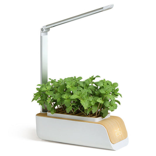 Indoor Smart Garden - Hydroponics Smart Garden