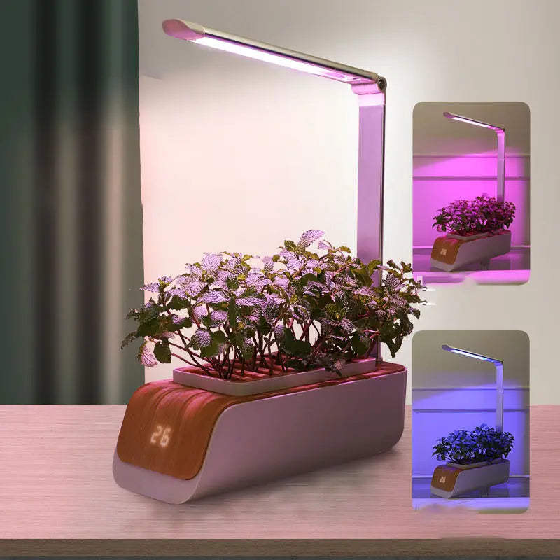 Indoor Smart Garden - Hydroponics Smart Garden